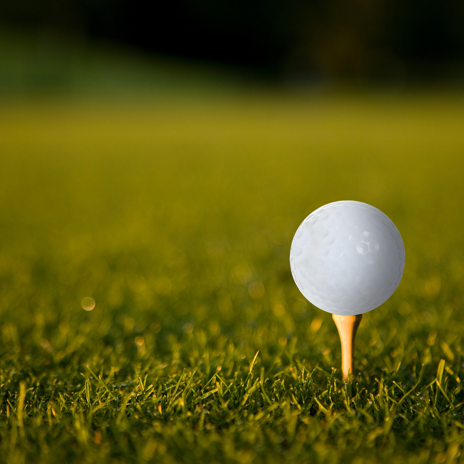 Golf Equipment For Beginners - อุปกรณ์ลูกกอล์ฟสำหรับฝึกซ้อมในร่ม สีขาว ระยะไกล นุ่ม สำหรับผู้เริ่มต้น